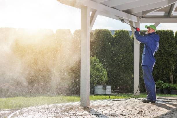 Professional Pressure Washing in Felton, DE